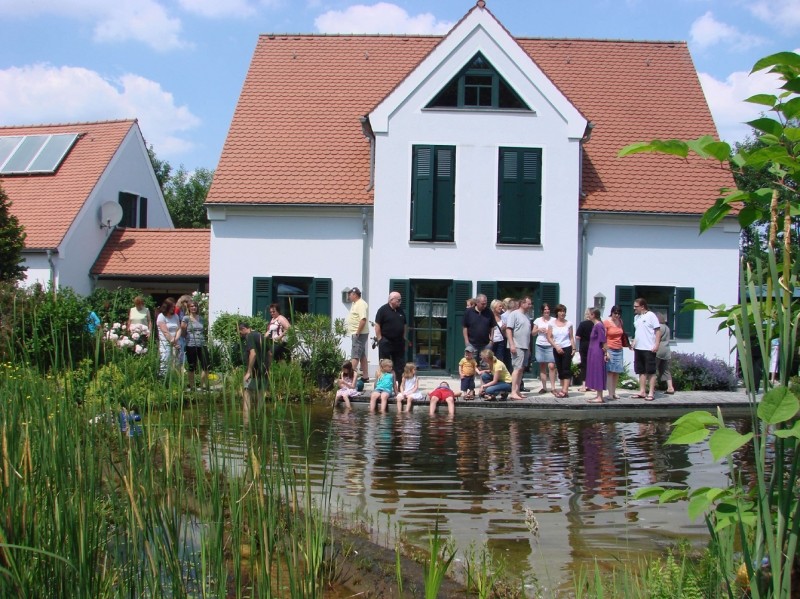 Swimmingpool vor der Terrasse - N-LAND