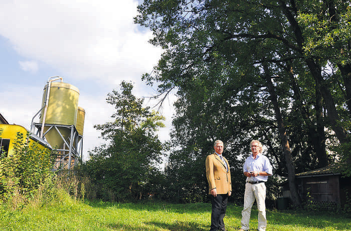 Eichen sollen für den Bauhof fallen - N-LAND