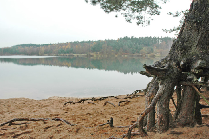 Die geplante Sandgrube wird – wenn die Behörden grünes Licht geben – nördlich des Birkensees (hier im Bild) entstehen. Foto: PZ-Archiv