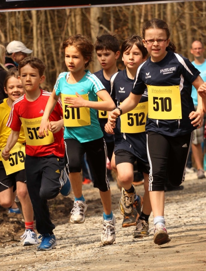 lav-im-wald-erfolgreich-n-land