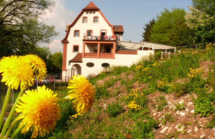 Noch gehört die Fläche des ehemaligen Montana-Clubs in Hersbruck der Natur - ein Nürnberger Investor will dies mit dem Bau einer großen Wohnanlage ändern. Foto: J. Ruppert