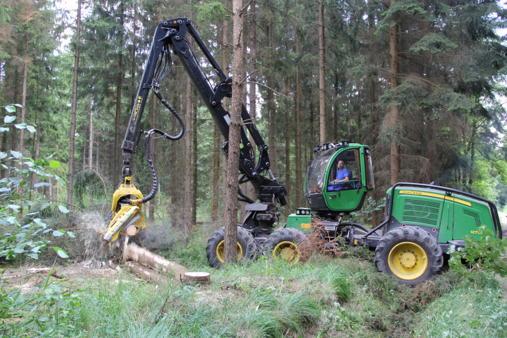Der Harvester bei der Arbeit: Der Holzvollernter fällt etwa 80 Fichten, die von Borkenkäfern befallen sind. Fotos Kappes