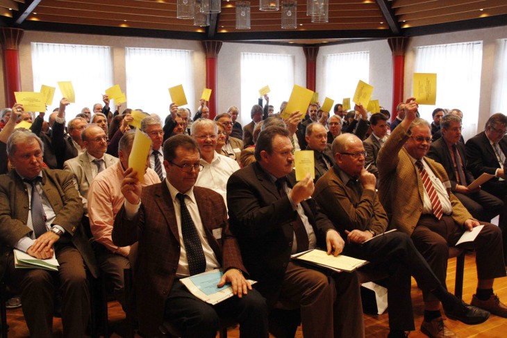 Bürgermeister und WiSo-Partner winkten die Satzung für die LAG-Erweiterung einstimmig durch. Foto: A. Pitsch
