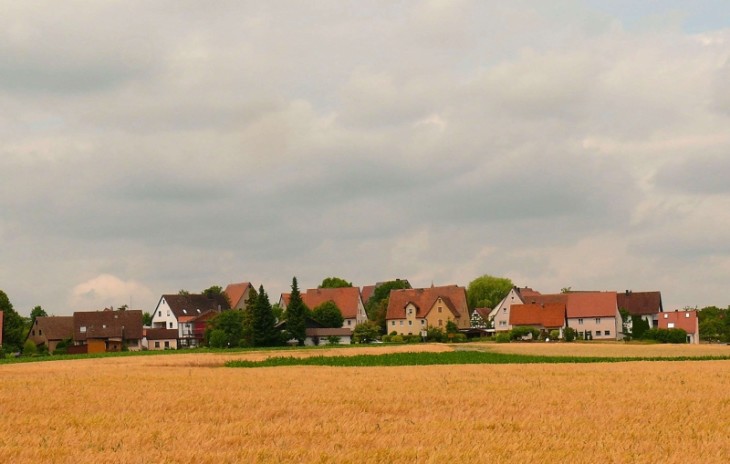 Rotmilan, Feldlerche oder Uhus flattern rund um Großviehberg nicht so oft herum, als dass dadurch Windkraftanlagen ausgeschlossen wären. Foto: J. Ruppert