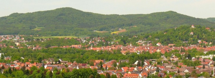 Die „Skyline“ von Hersbruck bleibt wie sie ist: frei von Windrädern. Foto: J. Ruppert