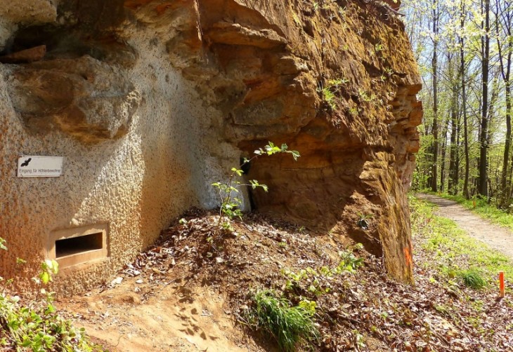 Allenfalls Insider wissen, dass links auf dem Bild der Eingang C zum Doggerwerk oberhalb von Happurg zu sehen ist – Ulrich Fritz von der Gedenkstättenstiftung rät zu Infotafeln. Foto: J. Ruppert