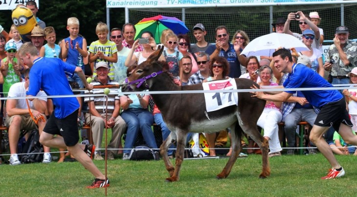 Wer seinen Esel (Lina im Bild) liebt, der schiebt. Foto. J. Ruppert.