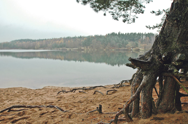 Vielleicht nur eine trügerische Idylle: Die im Birkensee gemessenen Werte waren bereits 2014 erhöht. Jetzt läuft die Suche nach der Quelle der Verunreinigung. Foto: PZ-Archiv/Sichelstiel