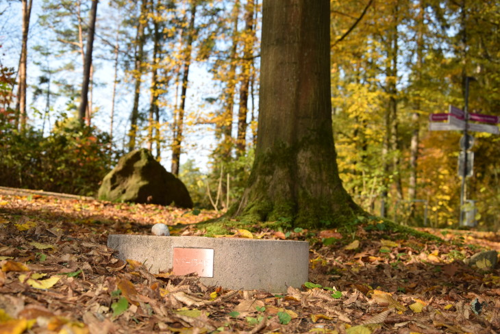 Grabstein auf dem Naturfriedhof Rummelsberg: Auf Plaketten stehen die Namen derjenigen, die am Fuße des jeweiligen Baumes bestattet wurden.