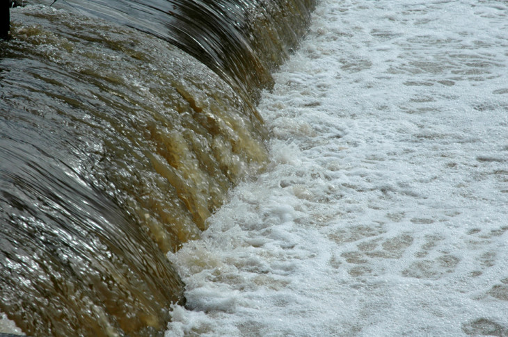 Fische aus der Pegnitz wiesen in aktuellen Tests nur geringe Mengen an PFT auf. Foto: PZ-Archiv