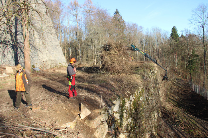 Auch die alte Mauer kam nach den Forstarbeiten rund um die Festung wieder ans Tageslicht.