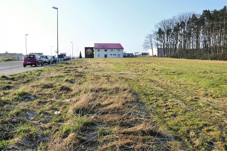 Auf diesem Grundstück an der Vogelherdstraße in Diepersdorf will Bolta neu bauen.