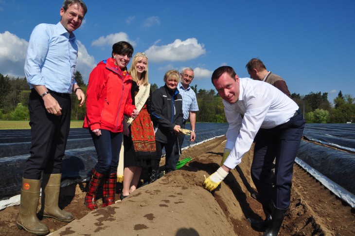 Landrat Armin Kroder (r.) beim Spargelanstich auf dem Feld von Heinz Haberberger (dahinter) und Ulrike Bierlein (4. v. l.). Dabei sehen ihm (v. l.) die Rathauschefs Robert Ilg aus Hersbruck und Martina Baumann aus Neunkirchen sowie Spargelprinzessin Theresa Miederer aus dem Landkreis Roth und Landwirtschaftsdirektor Werner Wolf zu.