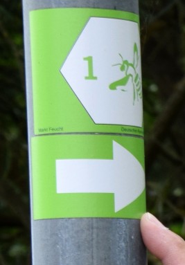 wanderweg_feucht_2