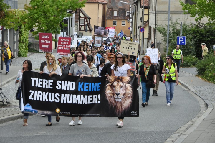 Mit Plakaten, Trommeln und Trillerpfeifen marschierten rund 200 Demonstranten durch Lauf, hier durch die Glockengießerstraße.