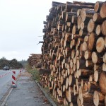 Die großen Holzstapel am Steinberg sollen bald verschwunden sein.