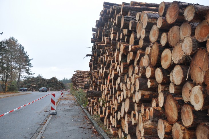 Die großen Holzstapel am Steinberg sollen bald verschwunden sein.