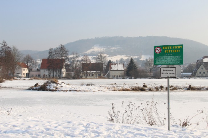 Der Bürgerweiher bietet einen ungewohnten Anblick: Das Gebüsch auf der kleinen Insel ist verschwunden. Die Schilder, die das Betreten untersagen, bleiben hingegen trotz des Dauerfrosts hängen.
