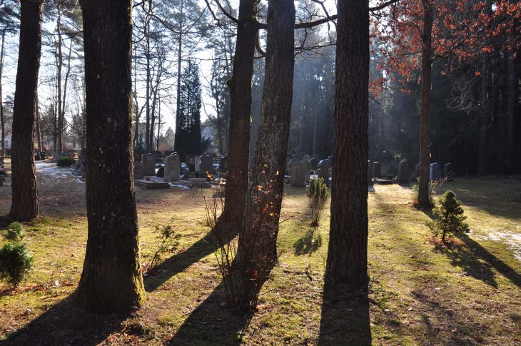 Auf einem kleinen Waldstück südwestlich der Aussegnungshalle sollen bald Baumbestattungen möglich sein.