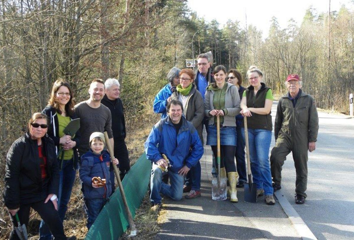 Frösche und Kröten unterwegs - N-LAND