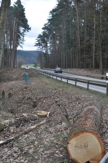 Für den Radweg entlang der Staatsstraße zwischen Unterhaidelbach und Winn wurden bereits Bäume gefällt. Rund 900 000 Euro sind für das Projekt im Leinburger Haushalt veranschlagt.