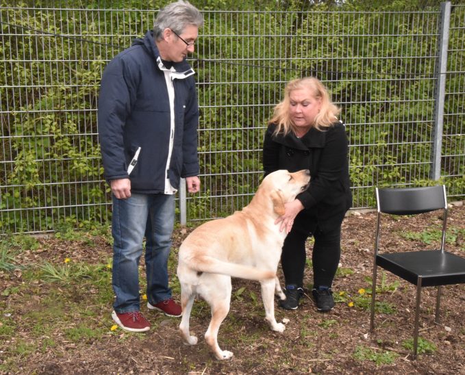 Nach vier Monaten konnten Egbert Norder und seine Frau Harmina de Jonge ihren „Boy“ wieder in die Arme schließen. Der freute sich sichtlich.