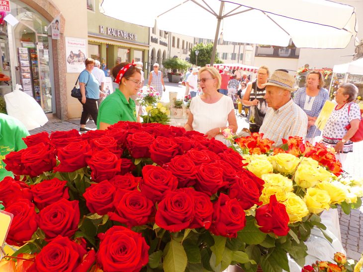 Ein Renner beim Hersbrucker Markt waren Schnittrosen in allerlei Farben.