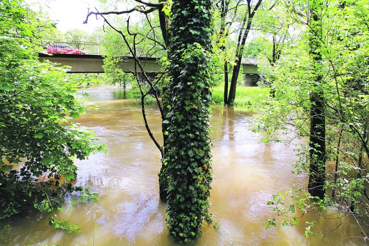 Auf diesem Foto aus dem Jahr 2011 hat die Pegnitz bei Rückersdorf die Flussauen überschwemmt. Bei einem Jahrhunderthochwasser könnten sogar Teile des Orts überflutet werden. Das will die Gemeinde verhindern.