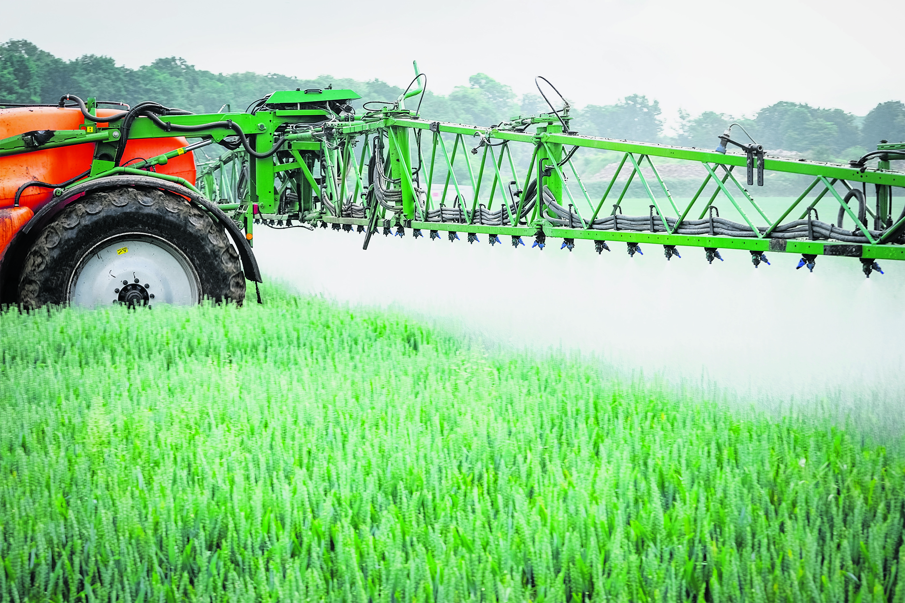 Wie Viele Tierarten Sterben Pro Tag Aus n-land.de