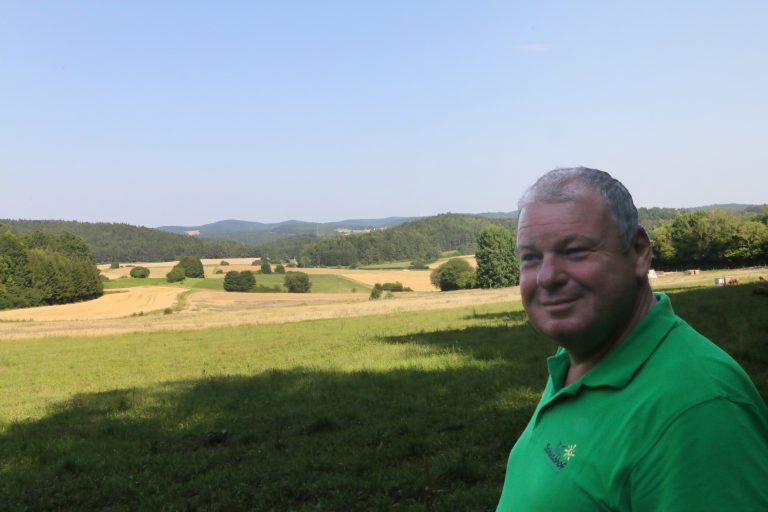 Thomas Schwab blickt über die Schweineweide, wo sich die Tiere tummeln.