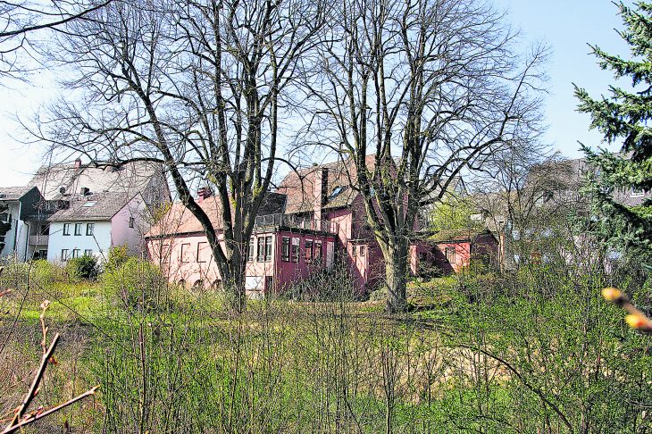 Einen Beschluss zum Ankauf des Graffiti-Grundstücks hat der Altdorfer Stadtrat in seiner nichtöffentlichen Sitzung nicht gefasst. Zunächst will man nun ausloten, was die Bürger auf dem Gelände überhaupt wollen. Fest steht, was sie nicht wollen, nämlich eine Bebauung, der die Grünfläche mitsamt Baumbestand zum Opfer fällt.