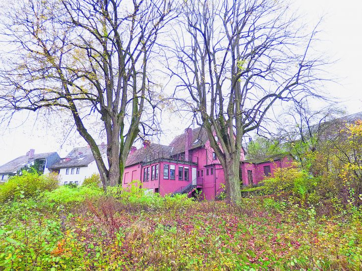 Der Baumbestand soll erhalten bleiben. Das ist nicht nur das Ergebnis des Bürgerentscheids, jetzt hat der Altdorfer Stadtentwicklungsausschuss das auch noch einmal beschlossen. Für das Grundstück wird ein entsprechender neuer Bebauungsplan aufgestellt.