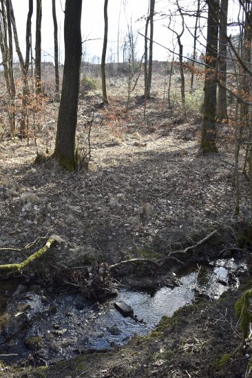 Dieses Grundstück im Wasserschutzgebiet bei Günthersbühl stand im Visier der Ermittlungen, gegen die sich Günther Felßner nun wehrt.