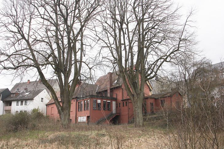 Die beiden alten Linden im Zentrum des Graffiti-Grundstücks sollen laut neuem Bebauungsplankonzept erhalten bleiben und den Mittelpunkt eines Gemeinschaftsgartens bilden, dessen Fläche etwa ein Drittel des gesamten Areals ausmachen könnte, die übrigen zwei Drittel könnten laut Konzept bebaut werden.