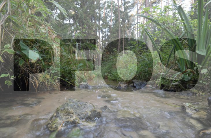 Im Finstergraben, der durch den Reichswald zum Röthenbach fließt, findet sich Perfluoroctansulfonat (PFOS).