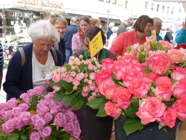 Die Schnittrosen verzauberten die Besucher am Hersbrucker Unteren Markt mit allerlei Farbspielen.