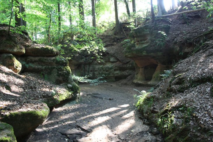 In der Bitterbachschlucht in Lauf fließt keine Wasser mehr. Ein Anblick, an den sich Anwohner nicht erinnern können.