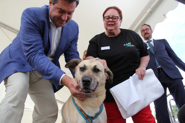 Rund 1200 Gäste haben laut Tierheim das Fest zum 60-Jährigen besucht: Ministerpräsident Markus Söder übernimmt zur Freude von Ulrike Lang und Herbert Sauerer eine Patenschaft für Hündin Leila.