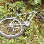 Ein Spürhund führte die Polizei zu diesem Fahrrad, das im Mittelbügweg an der Röthenbacher Kläranlage abgelegt war.