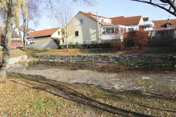 Wenig Wasser – viel Laub: Der Weiher präsentierte sich auch im Herbst nach dem trockenen Sommer nicht gerade attraktiv für Erholungssuchende.
