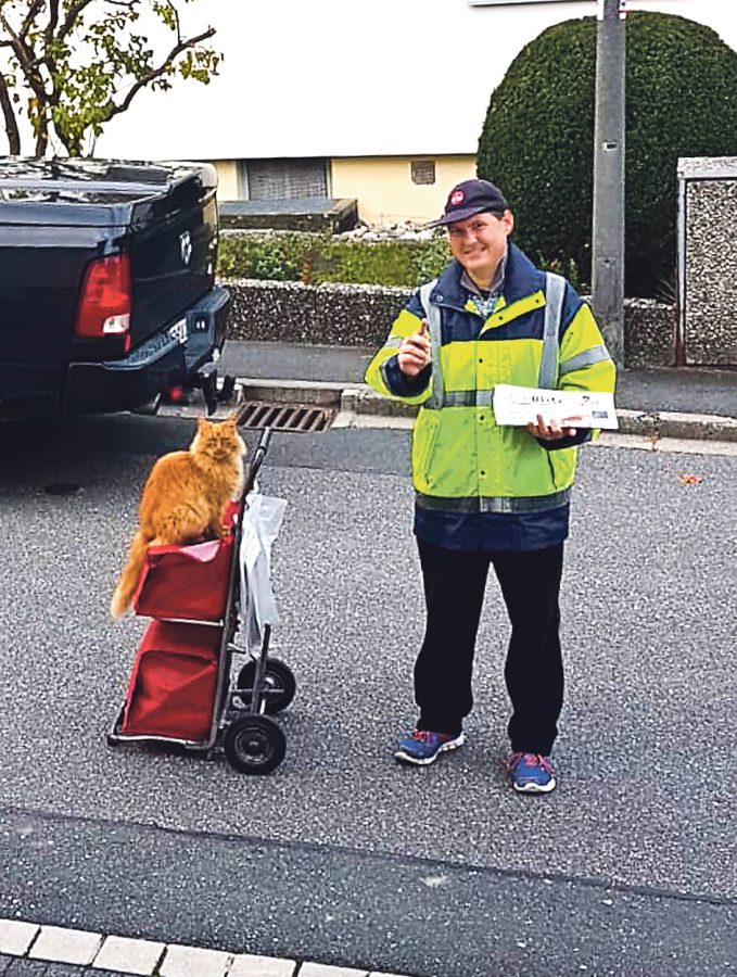Kater Milo Geht Mit Auf Die Runde N Land