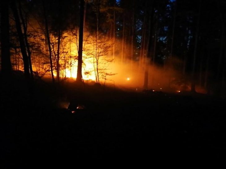 Meterhohe Flammen mitten im Wald: So sah es an der größeren Brandstelle beim Eintreffen der Feuerwehr aus.