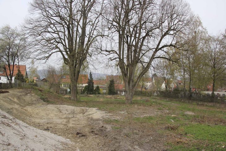 Graffiti-Areal ohne Graffiti. Doch die prägenden Linden sind noch da. Sie sollen eine tragende Rolle bei der Gestaltung des Parks spielen.