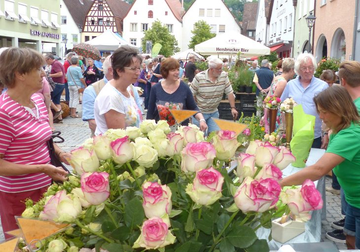 Die Schnittrosen waren beim Hersbrucker Markt für die Königin der Blumen ein Renner.