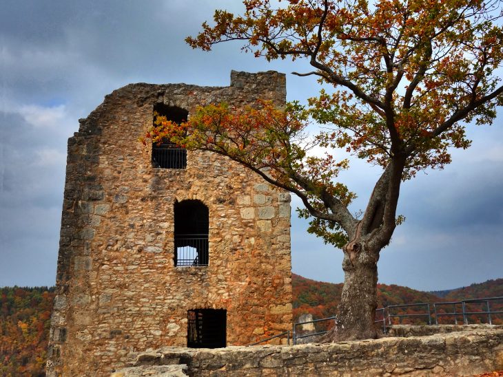 Baufällige Ruine, knorriger Baum: Die stimmungsvolle Szene auf Burg Neideck hat Wolfgang Werner von den Fotofreunden Hersbruck im Bild festgehalten.