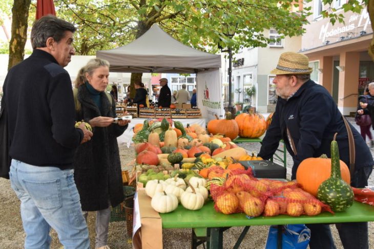 Die Hersbrucker Kürbismeile startet um 15 Uhr mit einem Markt.