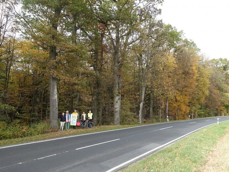 Vertreter der BN-Kreisgruppe zeigen, um welche Bäume es geht: Die Eichen, Linden und Buchen stehen nahe Diepersdorf.