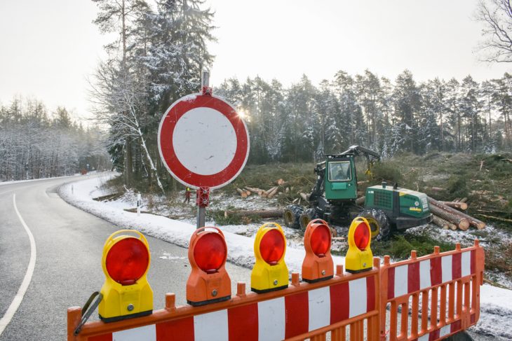 Es wird gerodet