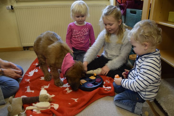 Zusammen lernen: Paula, Johanna und Jacob zeigen Briard-Welpe Yoko, wo die Futterbröckchen versteckt sind.