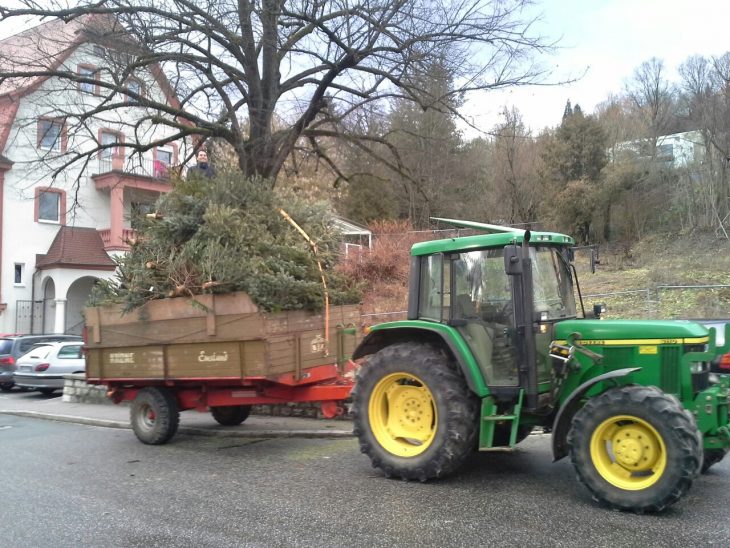 Mit Traktor und Hänger sammeln die Jugendlichen am 11. Januar Christbäume ein.